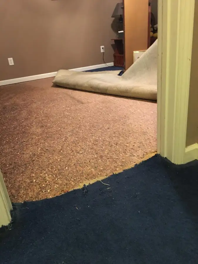 Carpet pad removal revealing water damage during Drying & Dehumidification in LaGrange