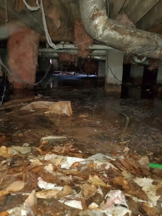 Crawl space flood assessment for Leak Detection & Repair in LaGrange