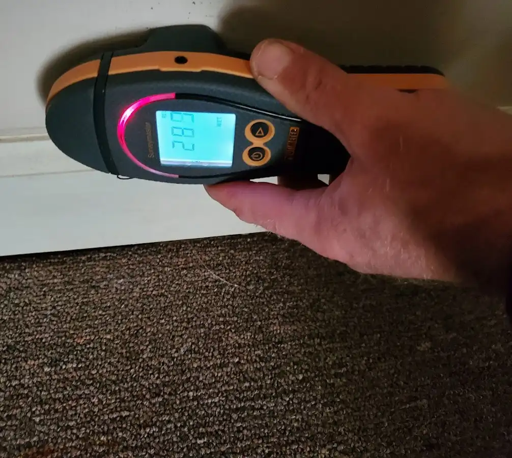 Moisture detection at baseboard during Mold Inspection & Testing in LaGrange